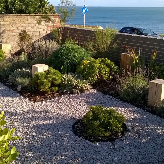 Coastal Garden | Anna Helps Garden Design